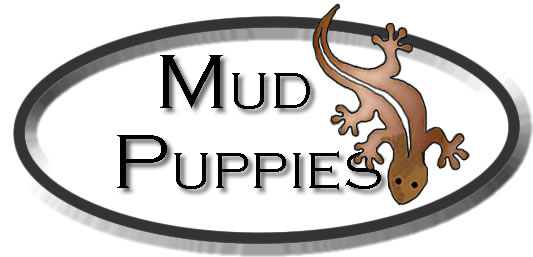 What's a "Mud Puppy"?